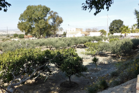 2 Bedroom Finca For Sale-MAZ05-10
