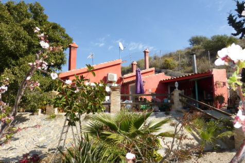 2 Bedroom Finca For Sale-MAZ05-14
