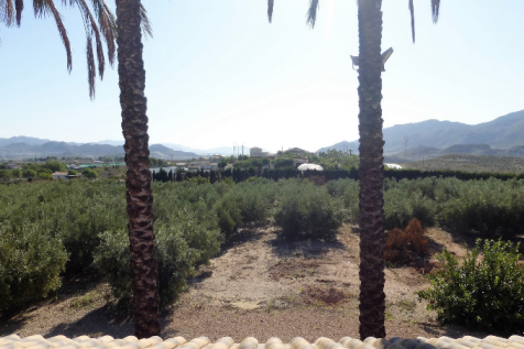 5 Bedroom Finca For Sale-LEIVA03-6