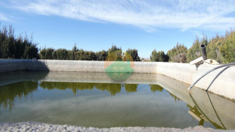 5 Bedroom Country house For Sale-LORCA02-22