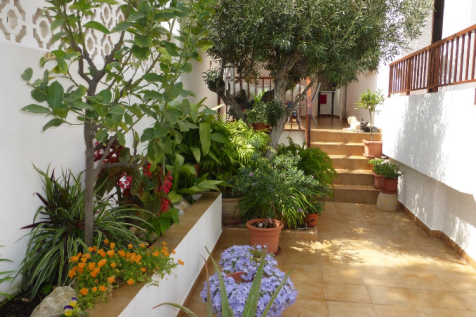 4 Bedroom Semi-Detached For Sale-PDM07-14