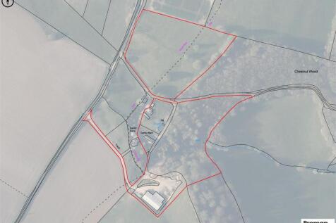 Promap-3058628-3156848.jpg