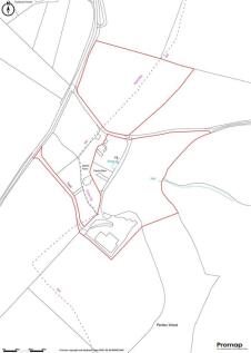 Promap-3058433-3156642.jpg