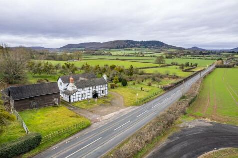 DJI_0299.jpg