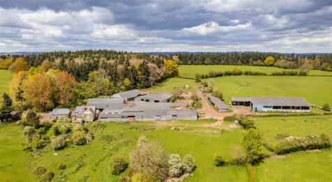 DJI_0275-Edit.jpg