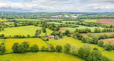DJI_0531.jpg