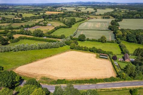 DJI_0387.jpg