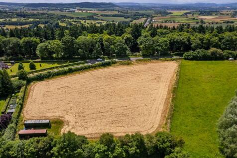 DJI_0377.jpg