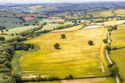 DJI_0699.jpg