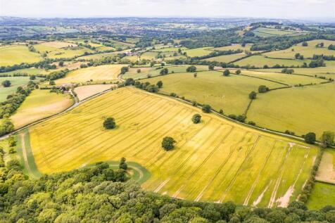 DJI_0697.jpg