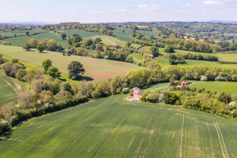 DJI_0487.jpg