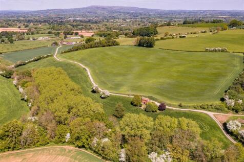 DJI_0503.jpg