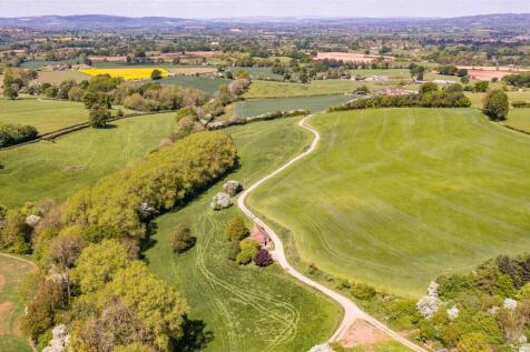 DJI_0501.jpg