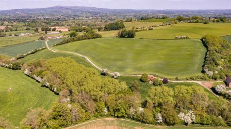 DJI_0504.jpg