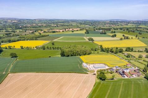 DJI_0510.jpg