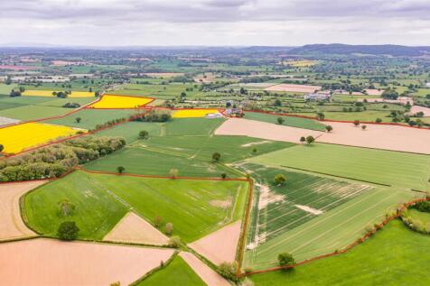 DJI_0454-Edit.jpg