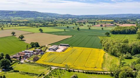 DJI_0518.jpg