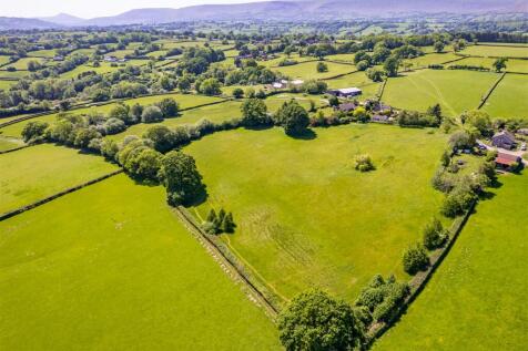 DJI_0380.jpg