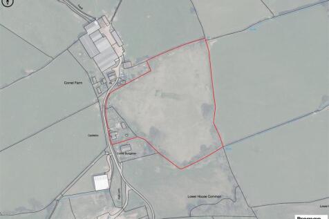 Promap-3177814-3274508.jpg