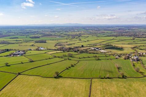 DJI_0318.jpg