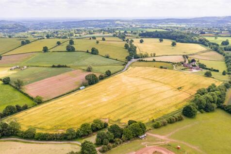 DJI_0687.jpg