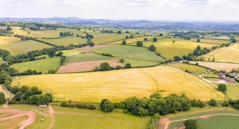 DJI_0689.jpg