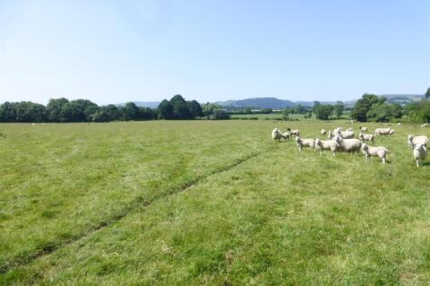 Lot 4