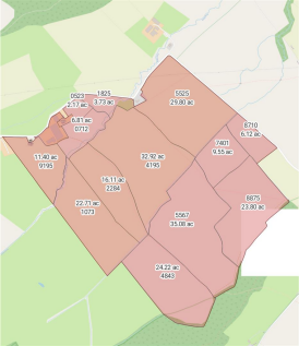 Field plan.png