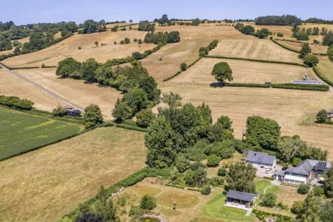DJI_0827.jpg