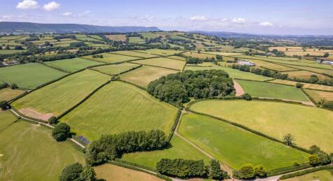 DJI_0667.jpg