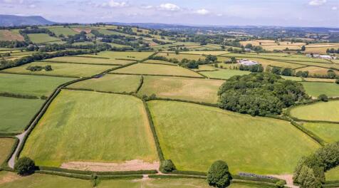DJI_0669-3.jpg