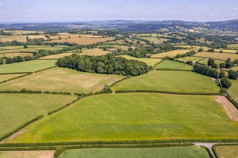 DJI_0673.jpg