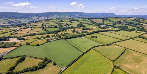 DJI_0688.jpg
