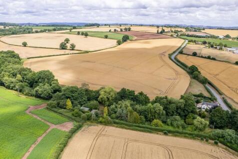 DJI_0972.jpg