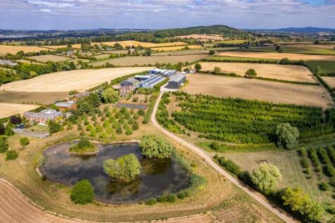 DJI_0183.jpg