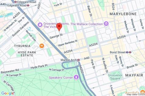 Google Maps Image