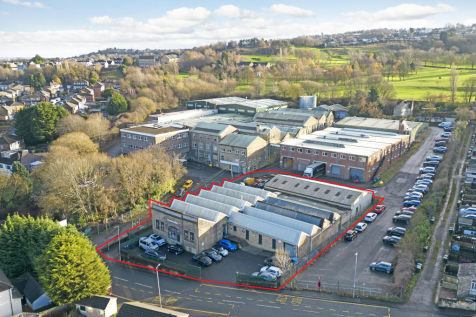 Front cover red line.png