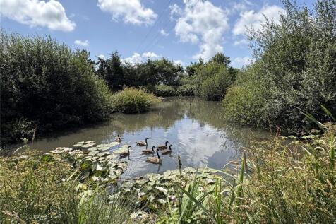 Pond