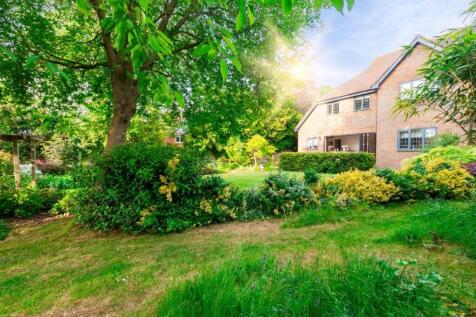 Property Image 52