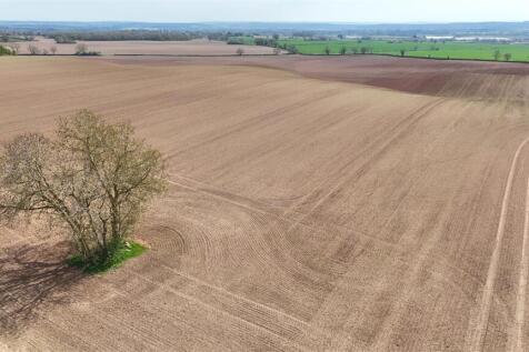 DJI_20250408133710_0319_D.JPG