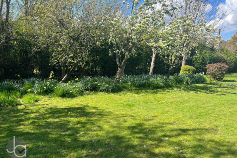 e6d193db-f94f-499...