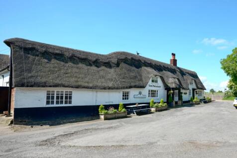The Pheasant