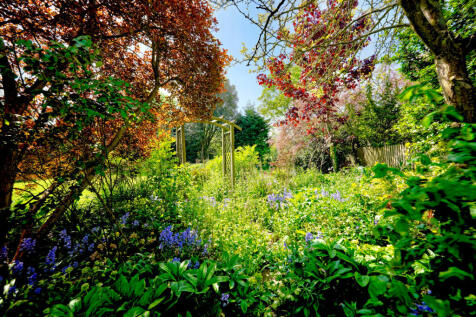 Property Image 25