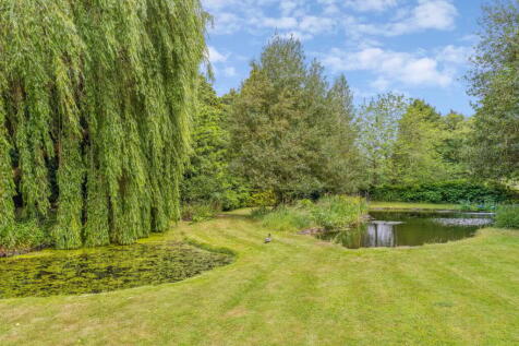 Property Image 43