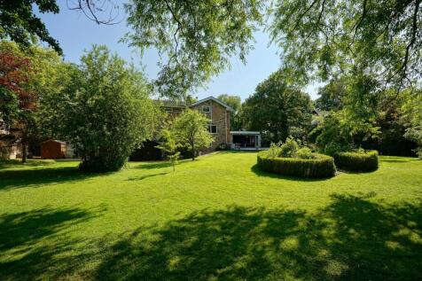Property Image 24
