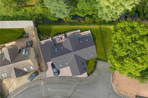 CGI Birds Eye