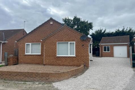 Betula 3 full front shot