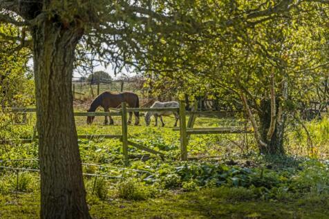 Ash Tree Farm (Amber Hill)-10