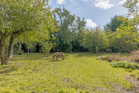 Ash Tree Farm (Amber Hill)-12