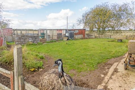 Ash Tree Farm (Amber Hill)-15